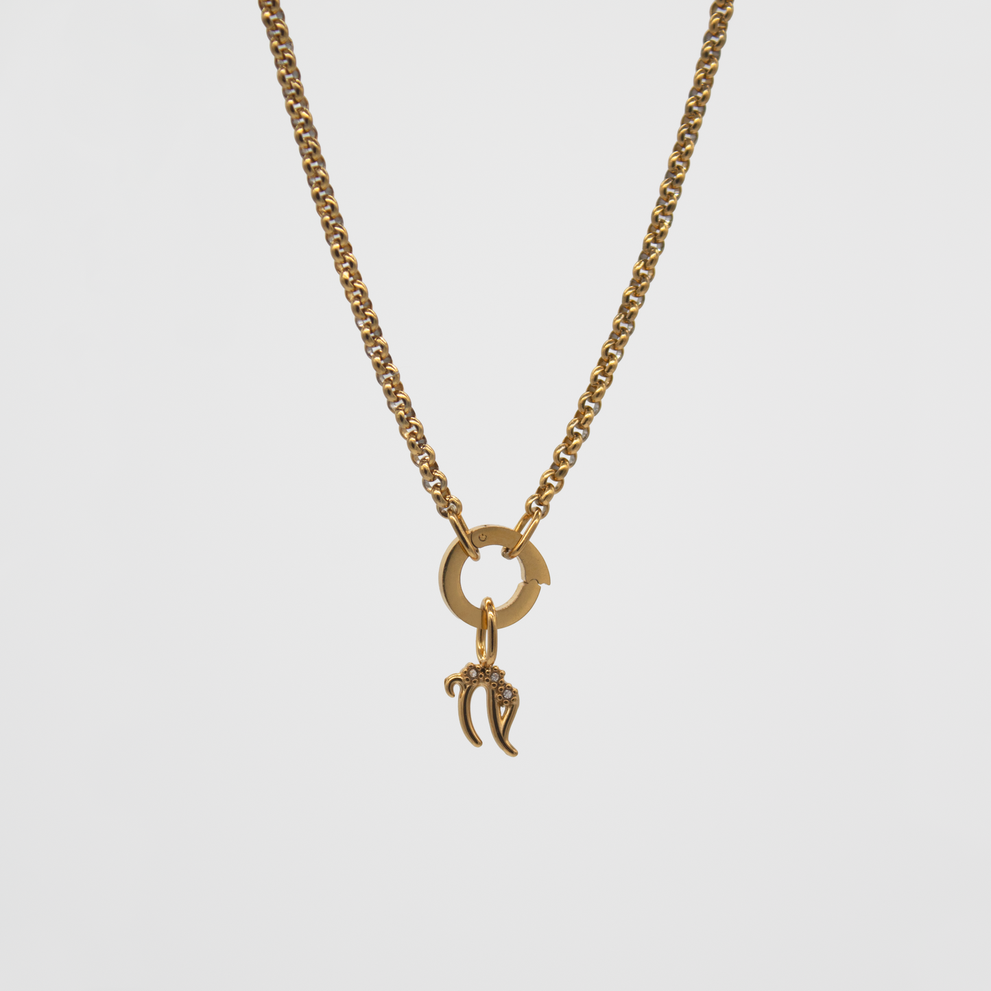 Capricorn