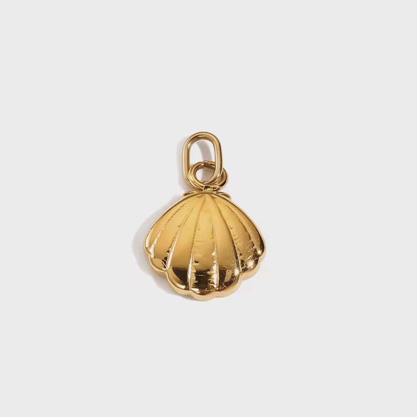 Seashell