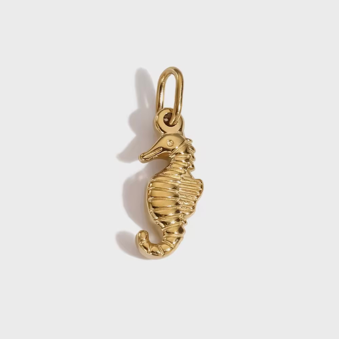 Seahorse