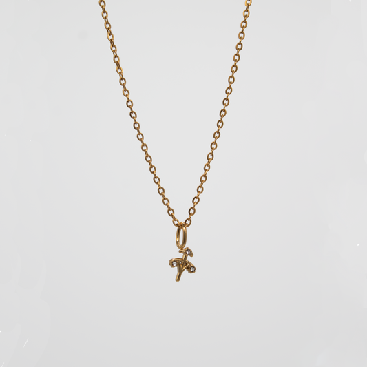 Sagittarius