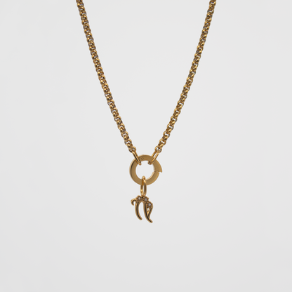 Capricorn