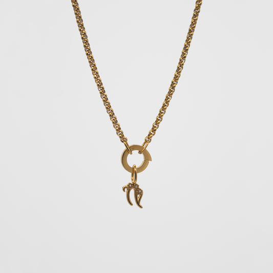 Capricorn