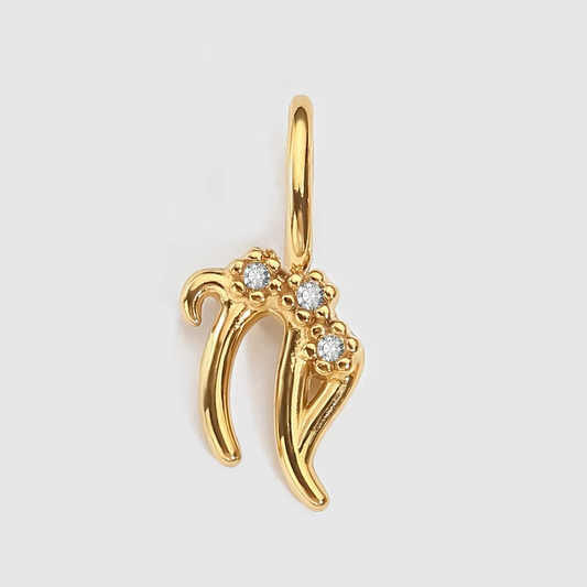 Capricorn