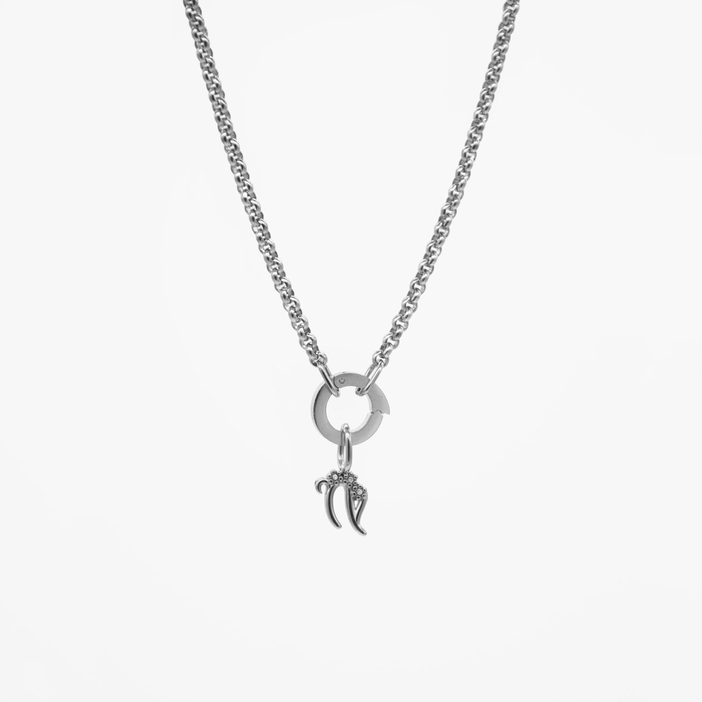 Capricorn