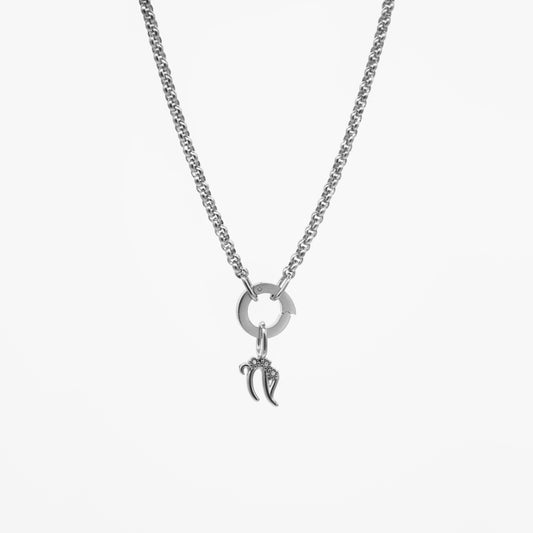 Capricorn